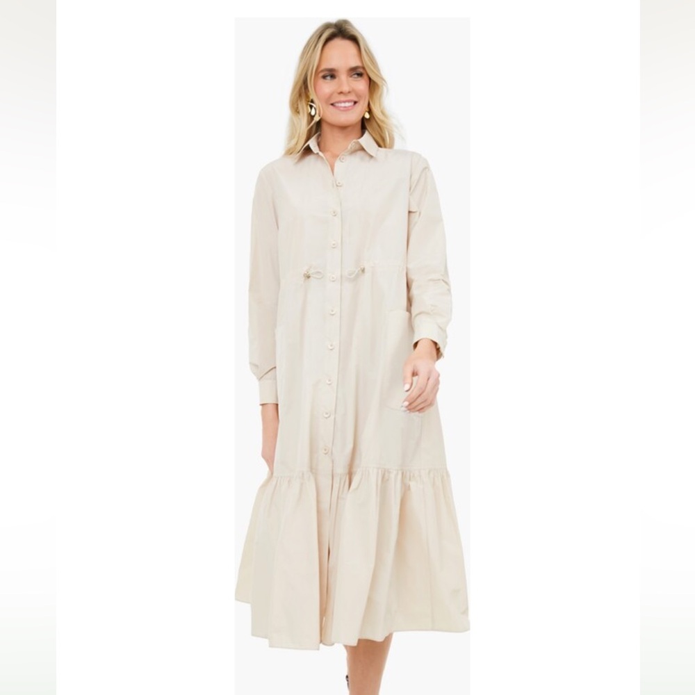 NWT MAX MARA ACERI DRESS